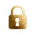 Gold lock icon indicating encrypted and secure checkout.